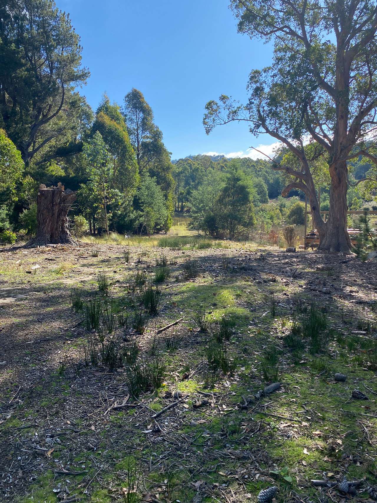 Towards Tea tree camp 4