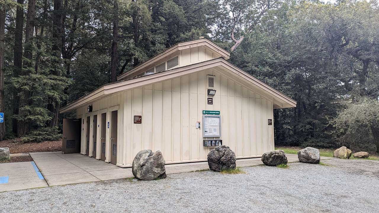 Mt Madonna County Park
