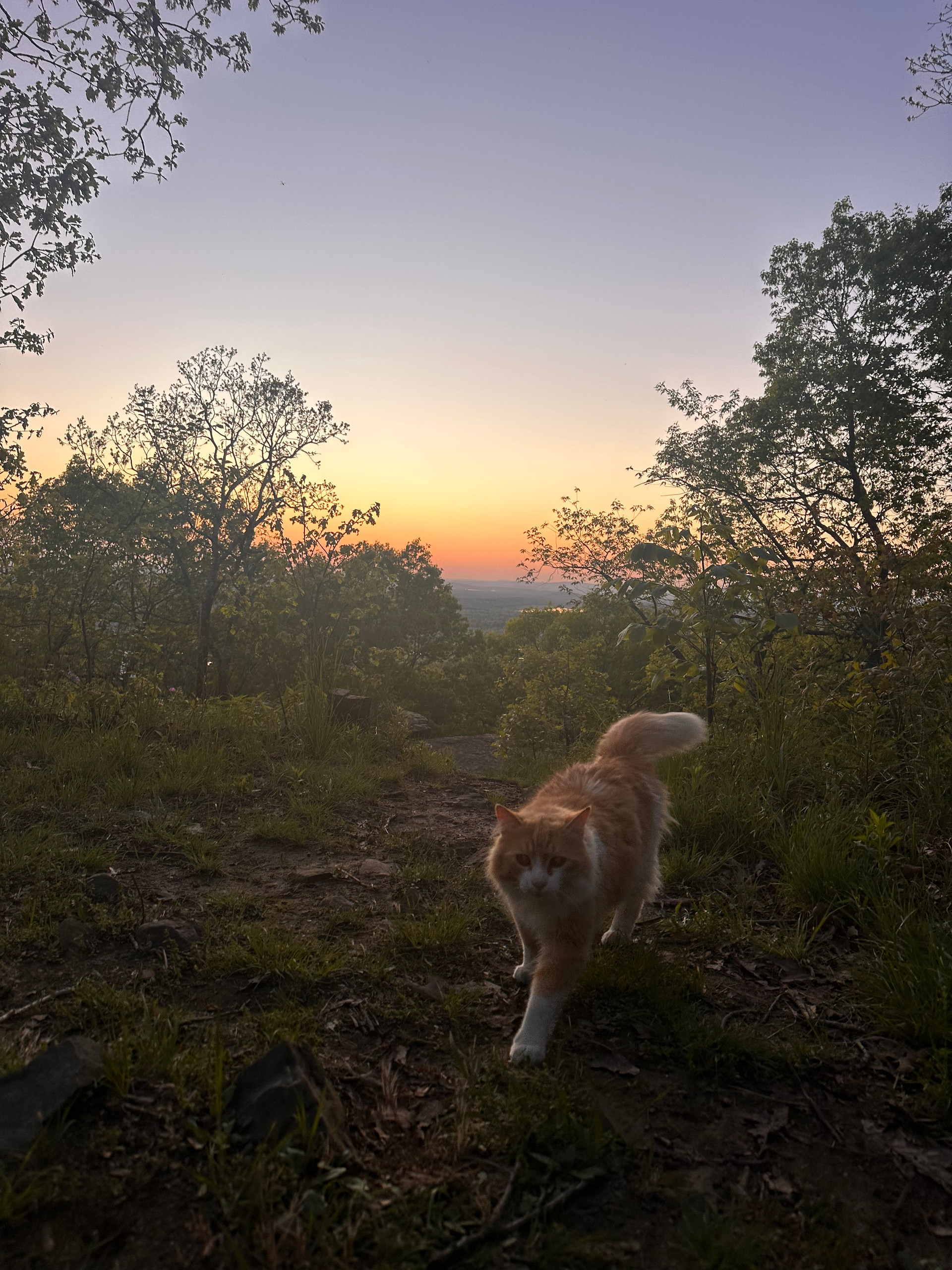 Heavener Runestone Park