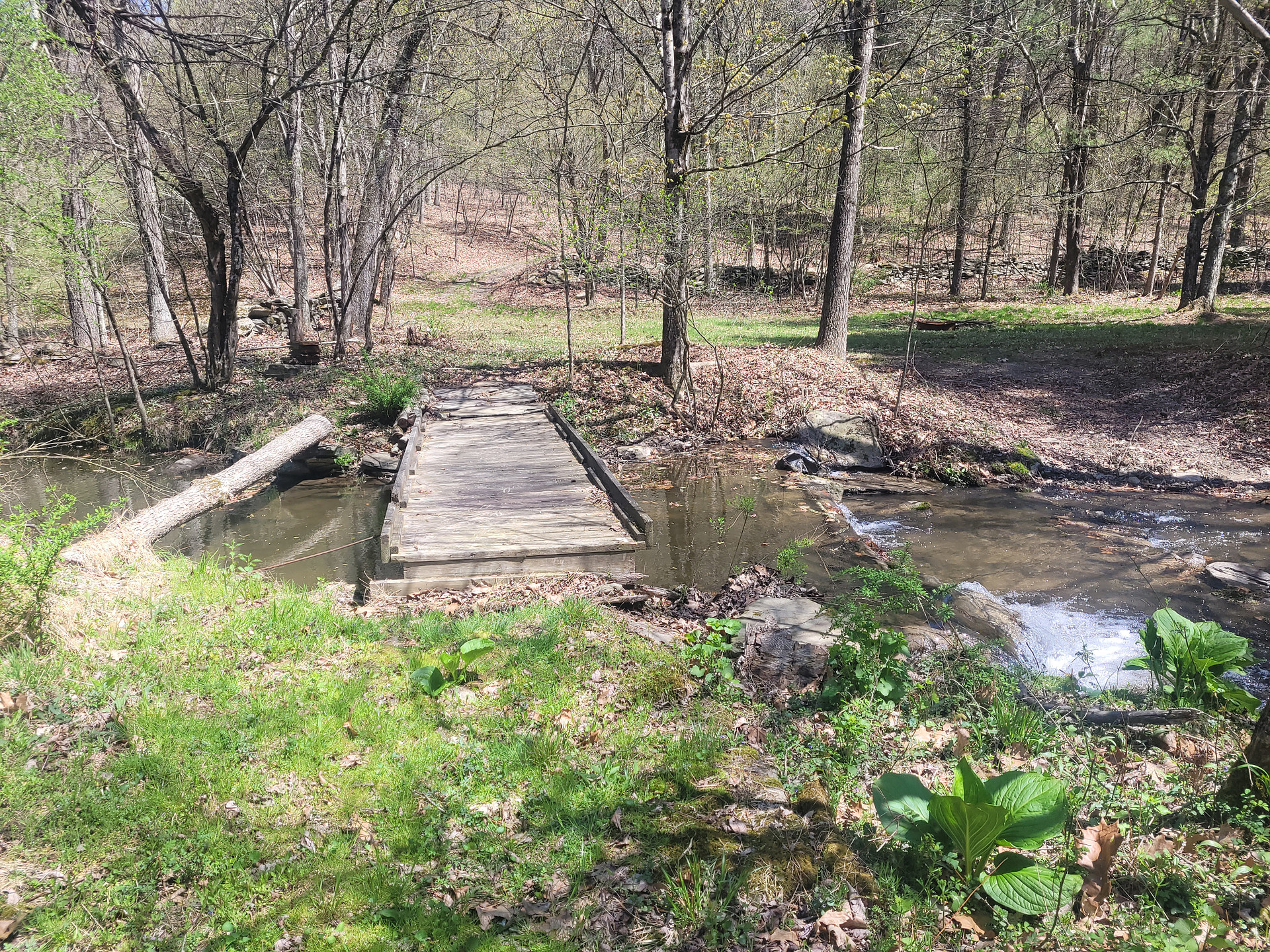 Access to creek site. Can park on either side of the creek.