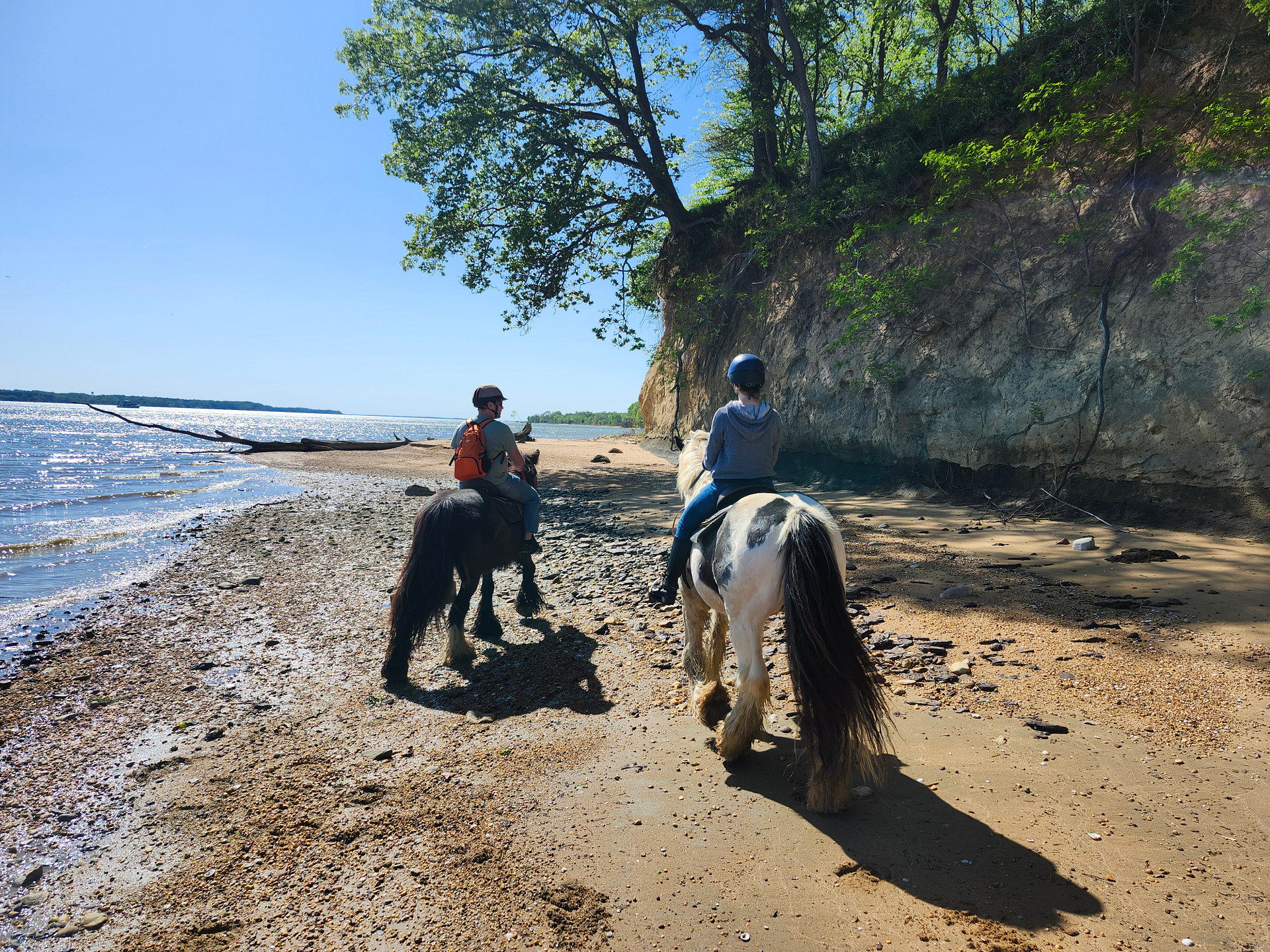 Grove Point Stables