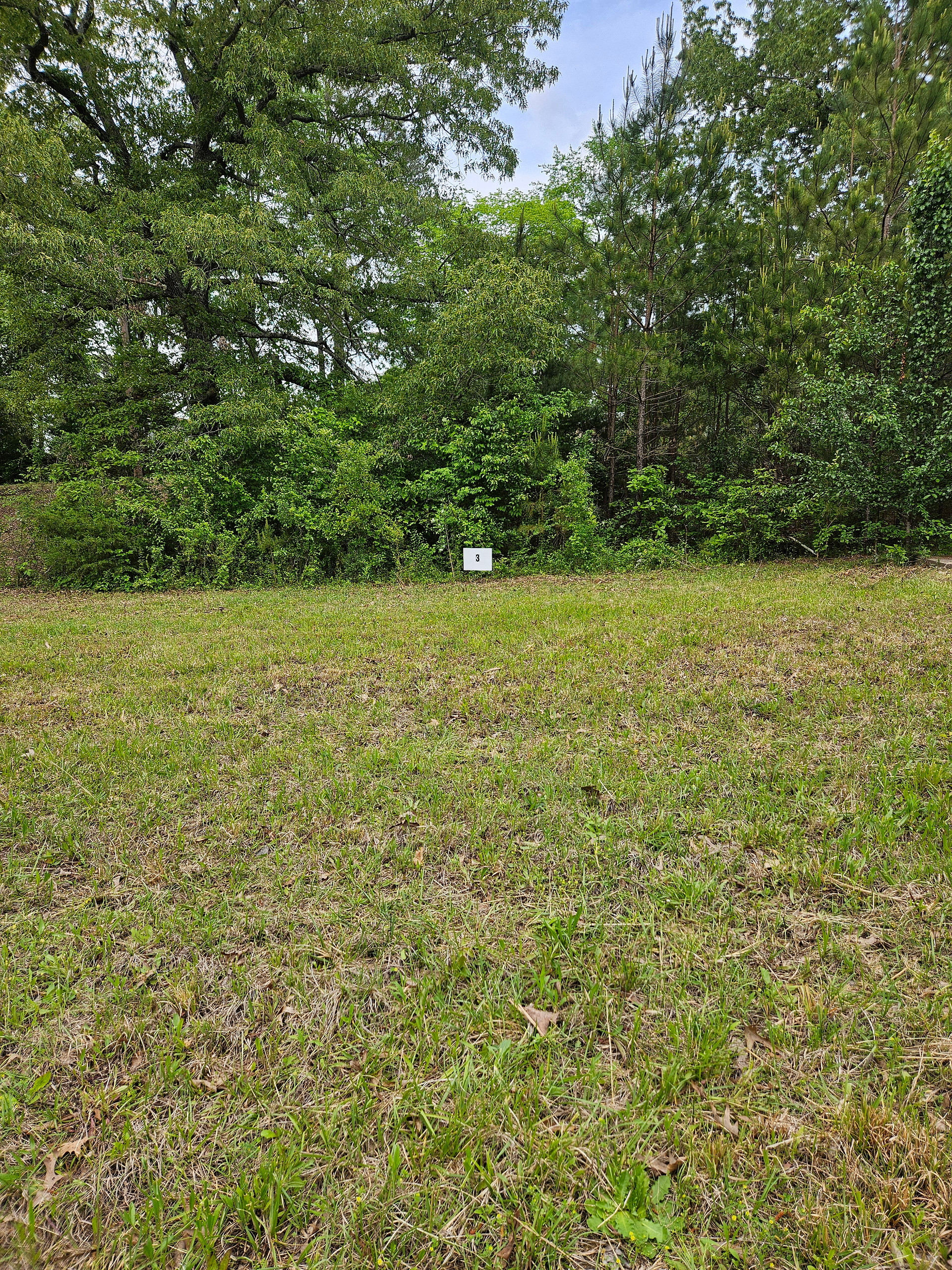 D' Campsite