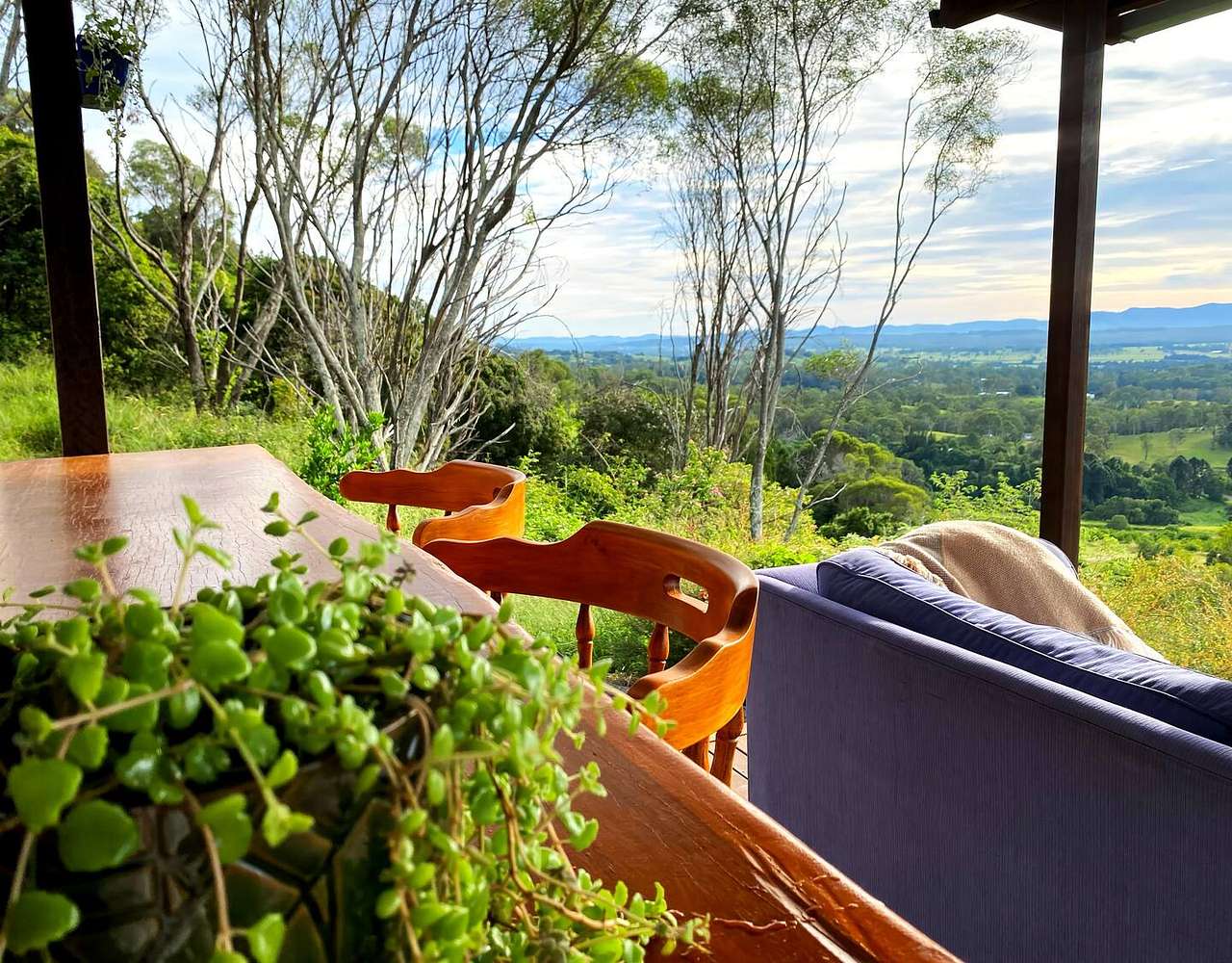The Avocado Tree Farm
