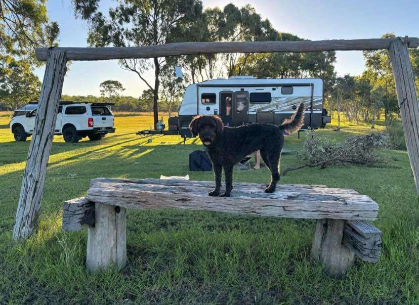 Ranglewood Farm