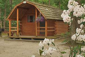 Atlantic Shore Pines Campground- Jersey Shore Camping at its finest!