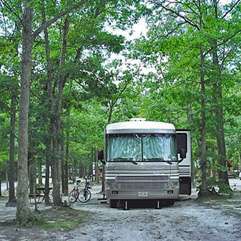 Atlantic Shore Pines Campground- Jersey Shore Camping at its finest!