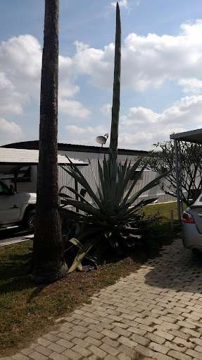 Acacia RV and MH Park