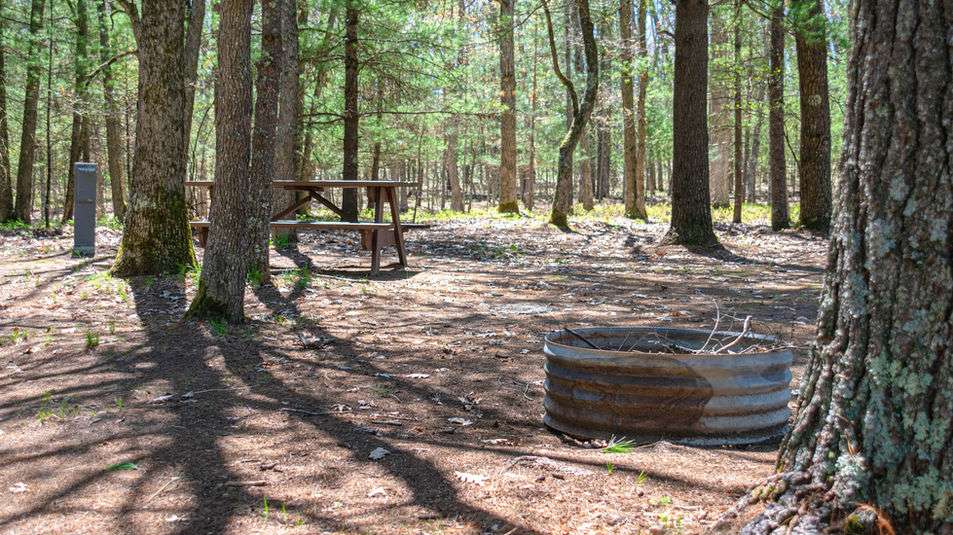 The Pines Campground