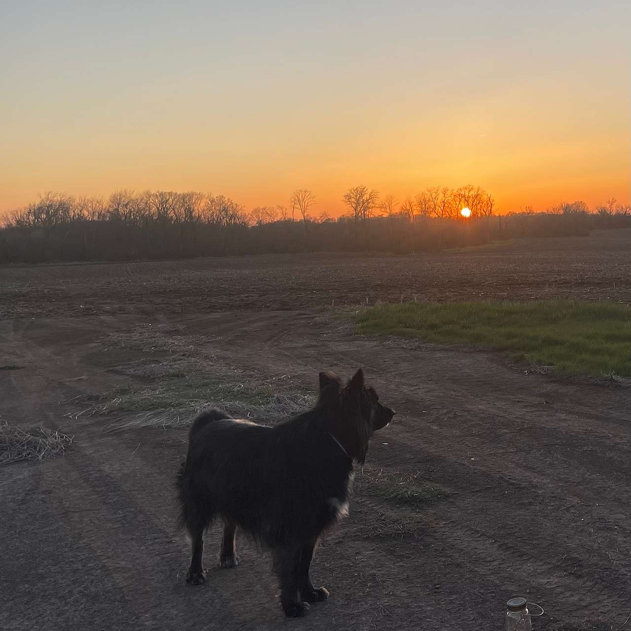 Beautiful sunsets!