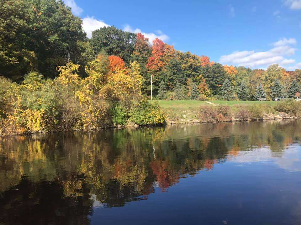 Henry's Landing Campground and Canoe Rental