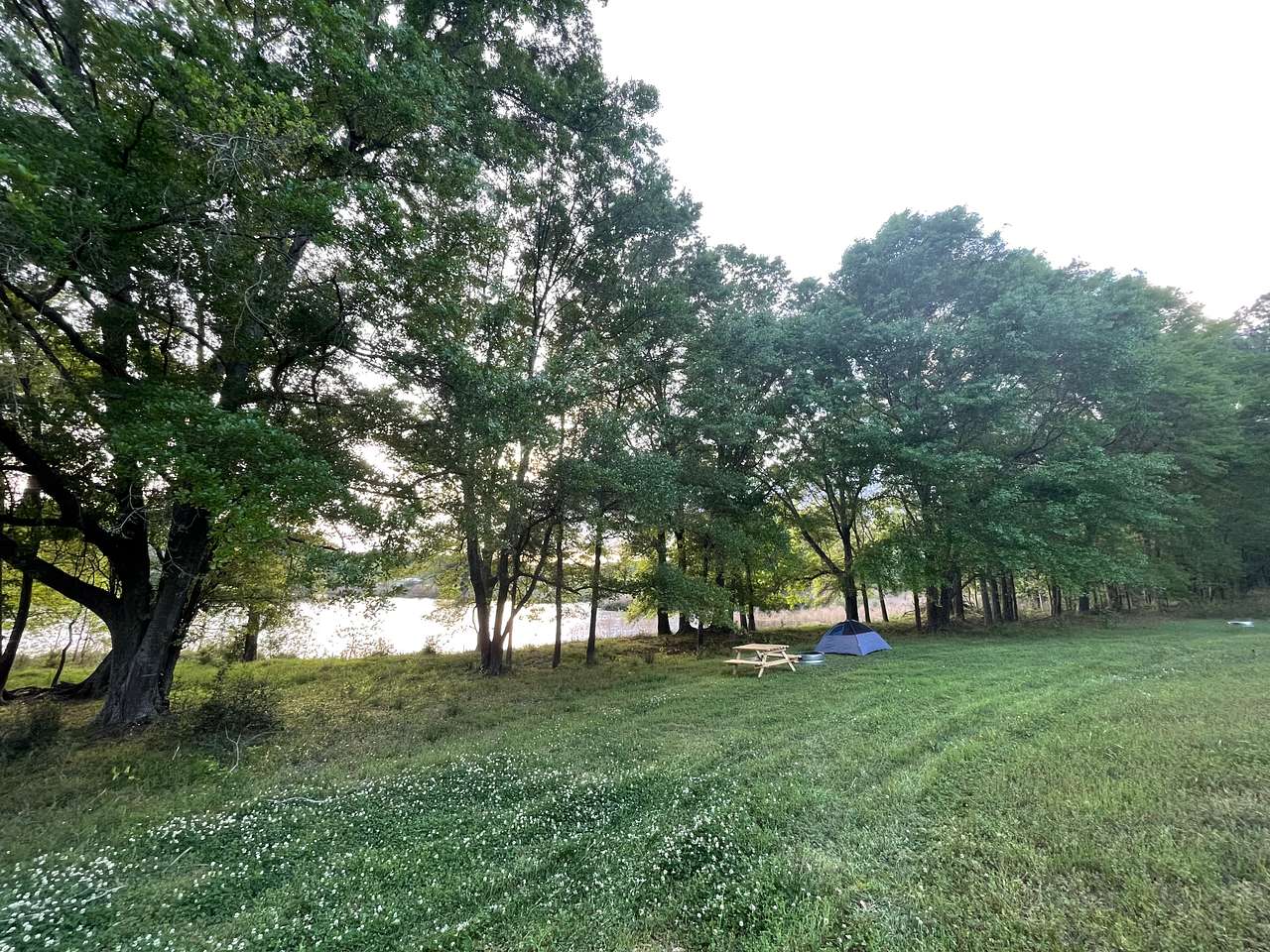 Pondview Acres Campground