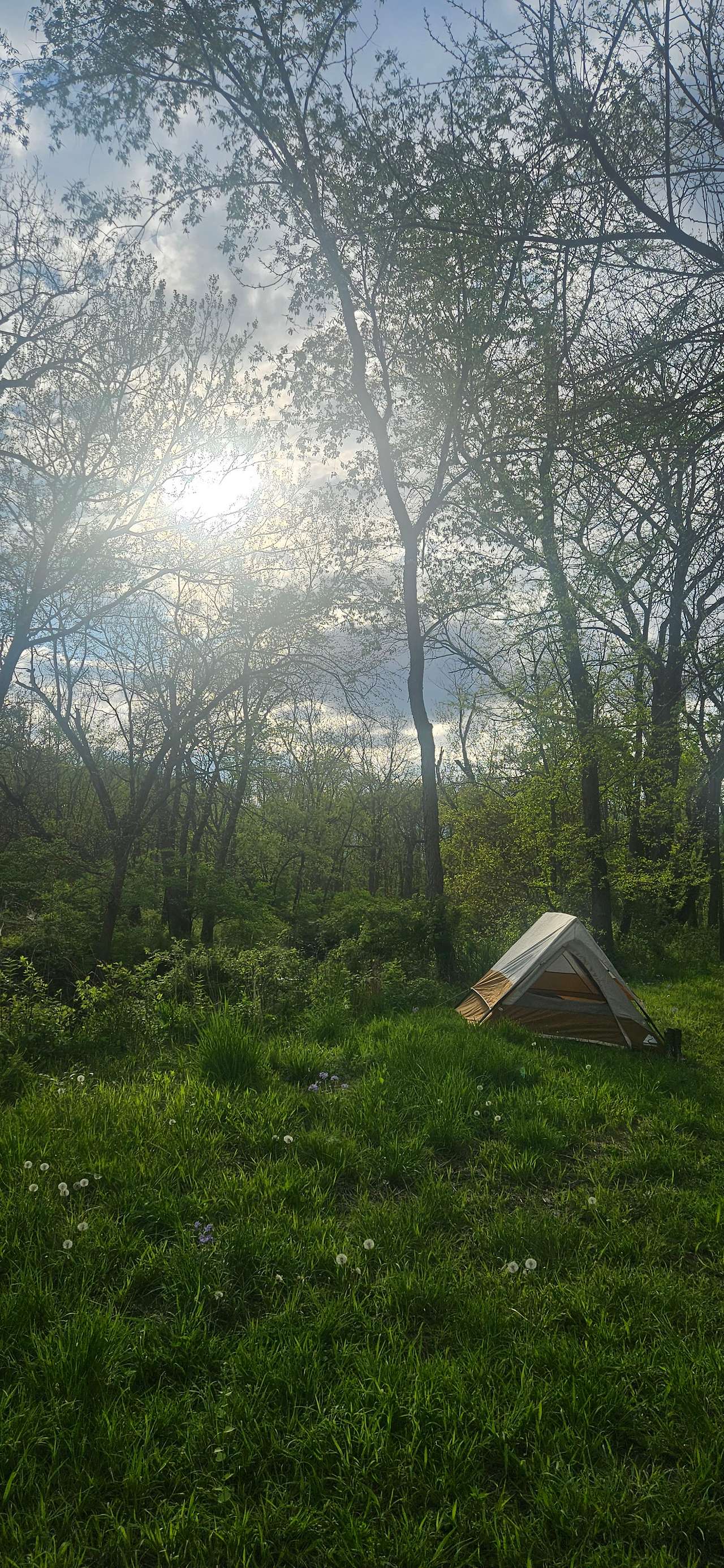 Woodford State Fish & Wildlife Area