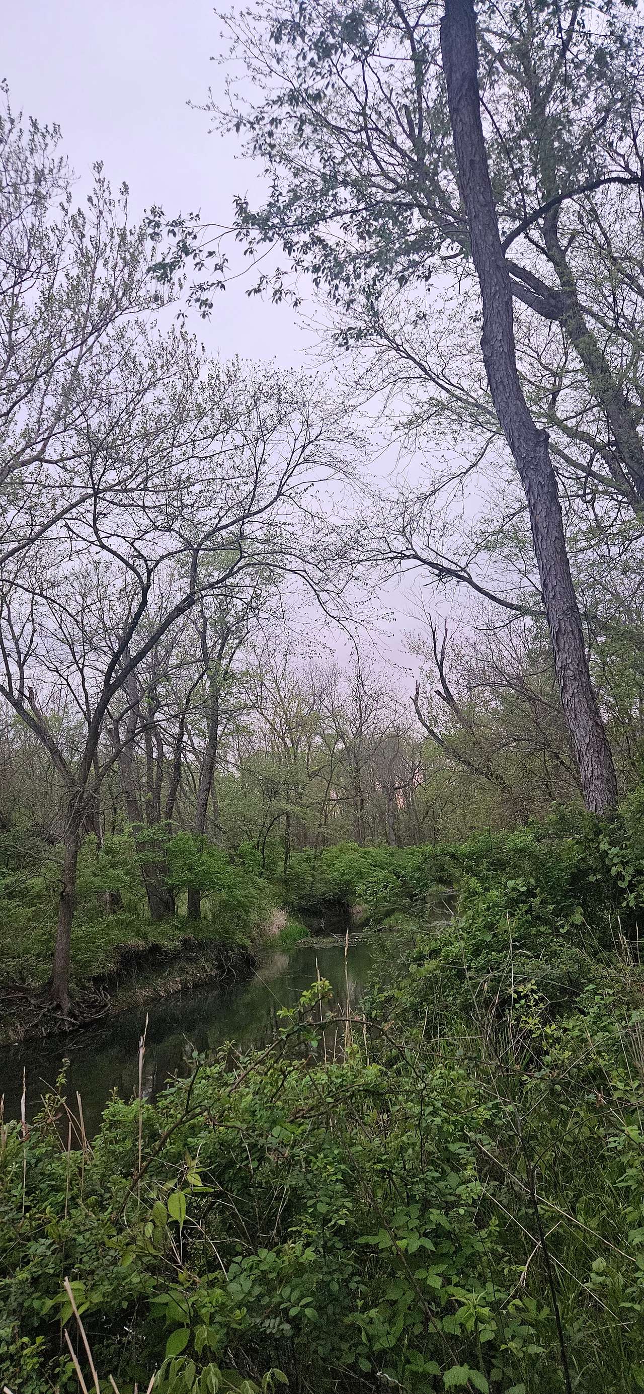 Woodford State Fish & Wildlife Area