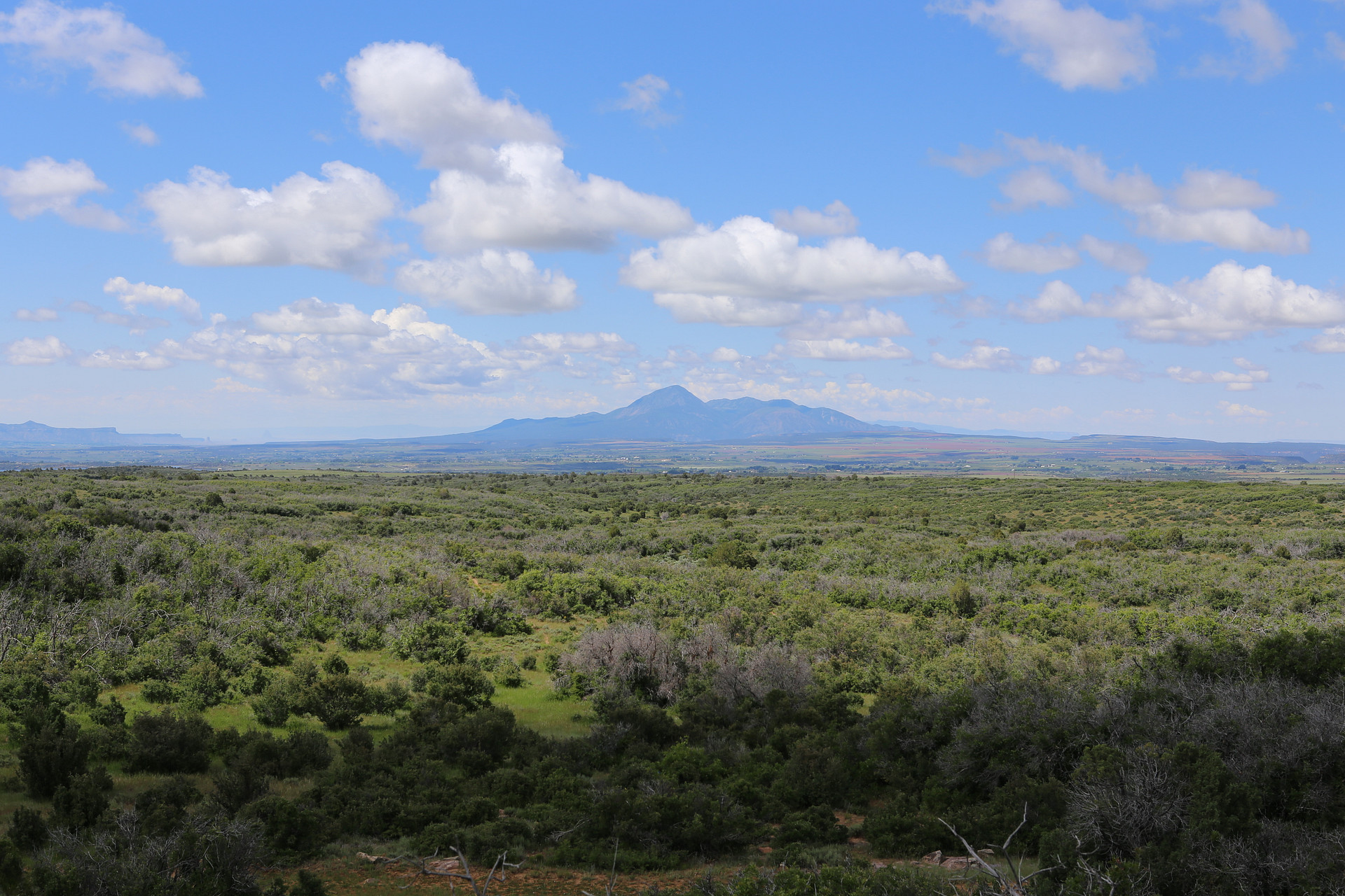 Dolores River Rim Camp