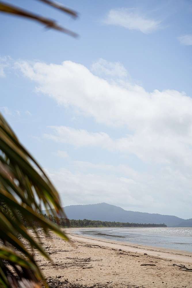 Daintree Beach Resort