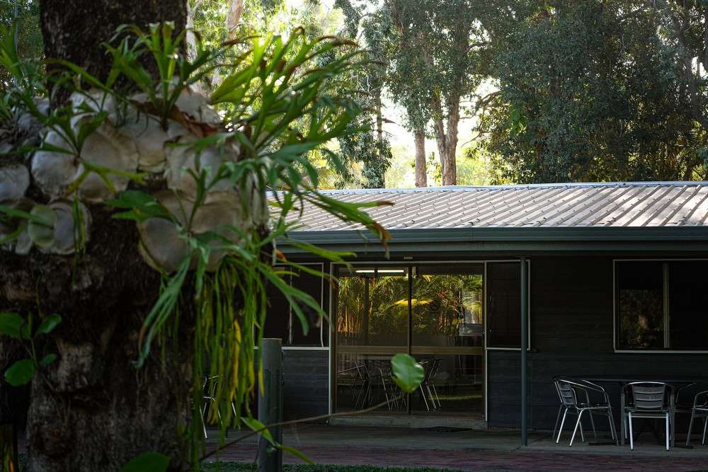 Daintree Beach Resort