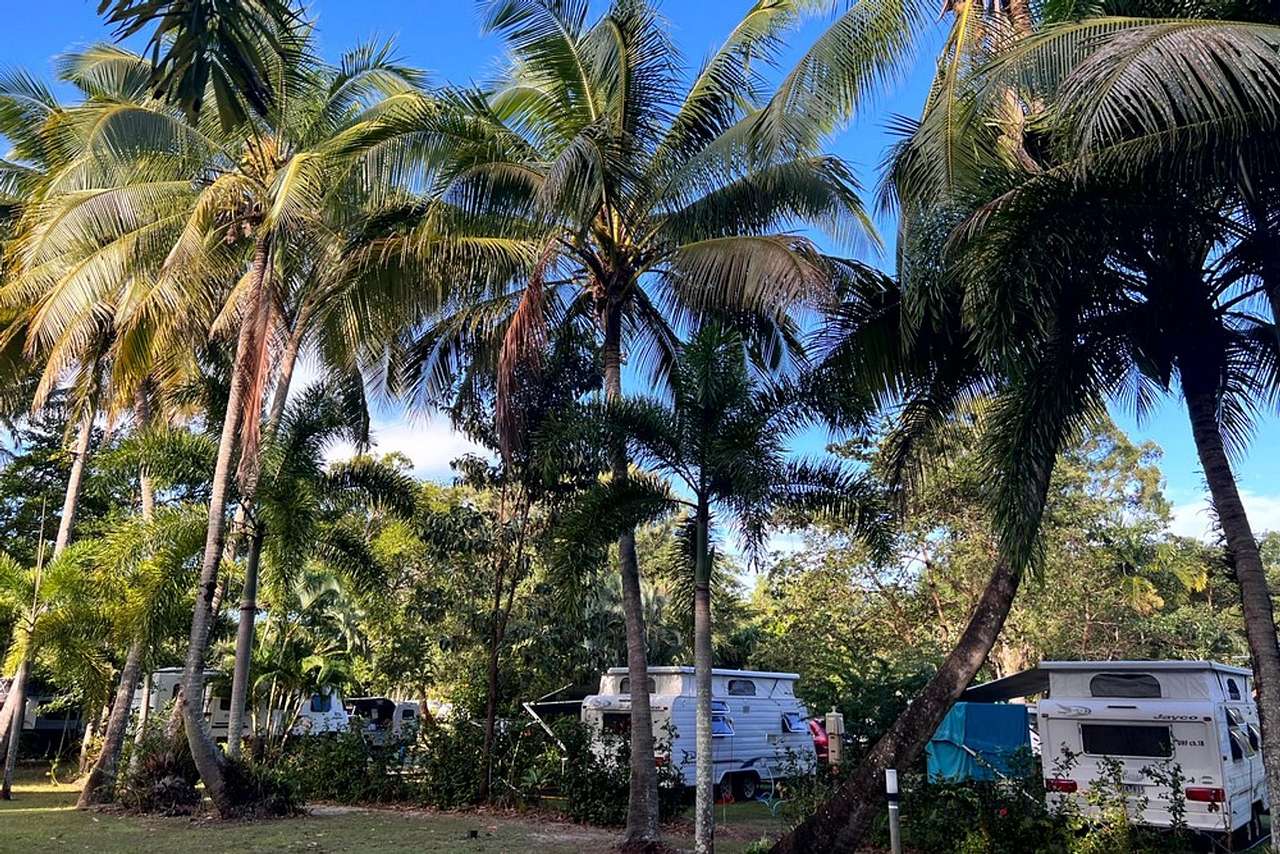 Daintree Beach Resort