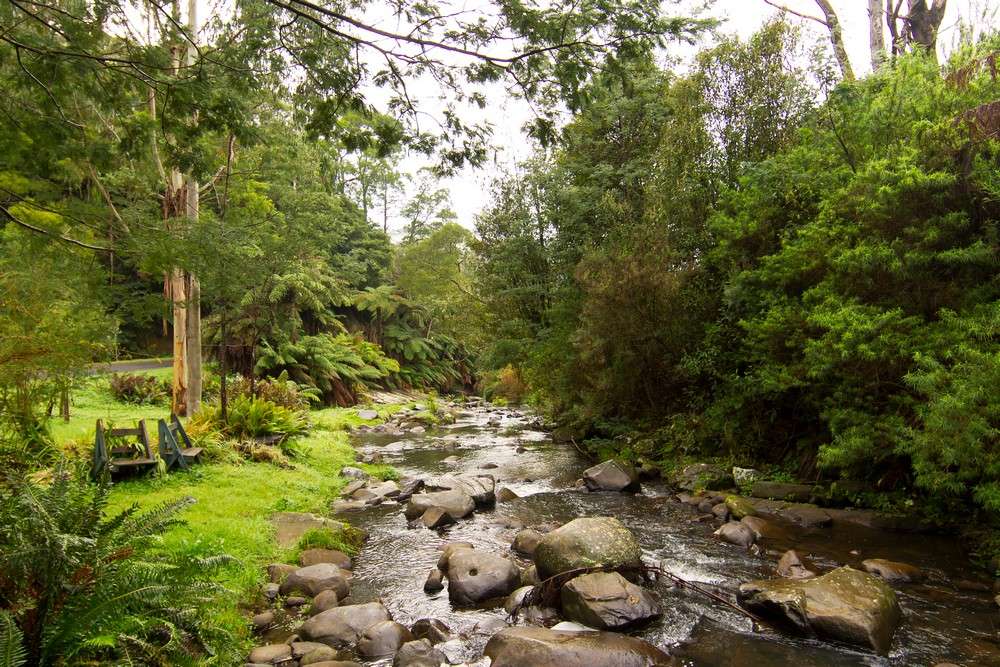 Tarra Valley Retreat