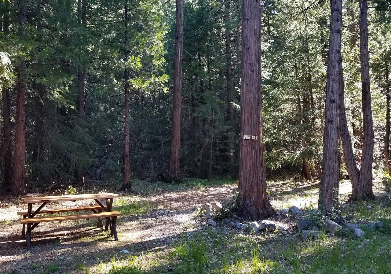Bright Bear Camp in Tahoe NF