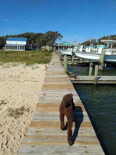 Cape Pointe Marina