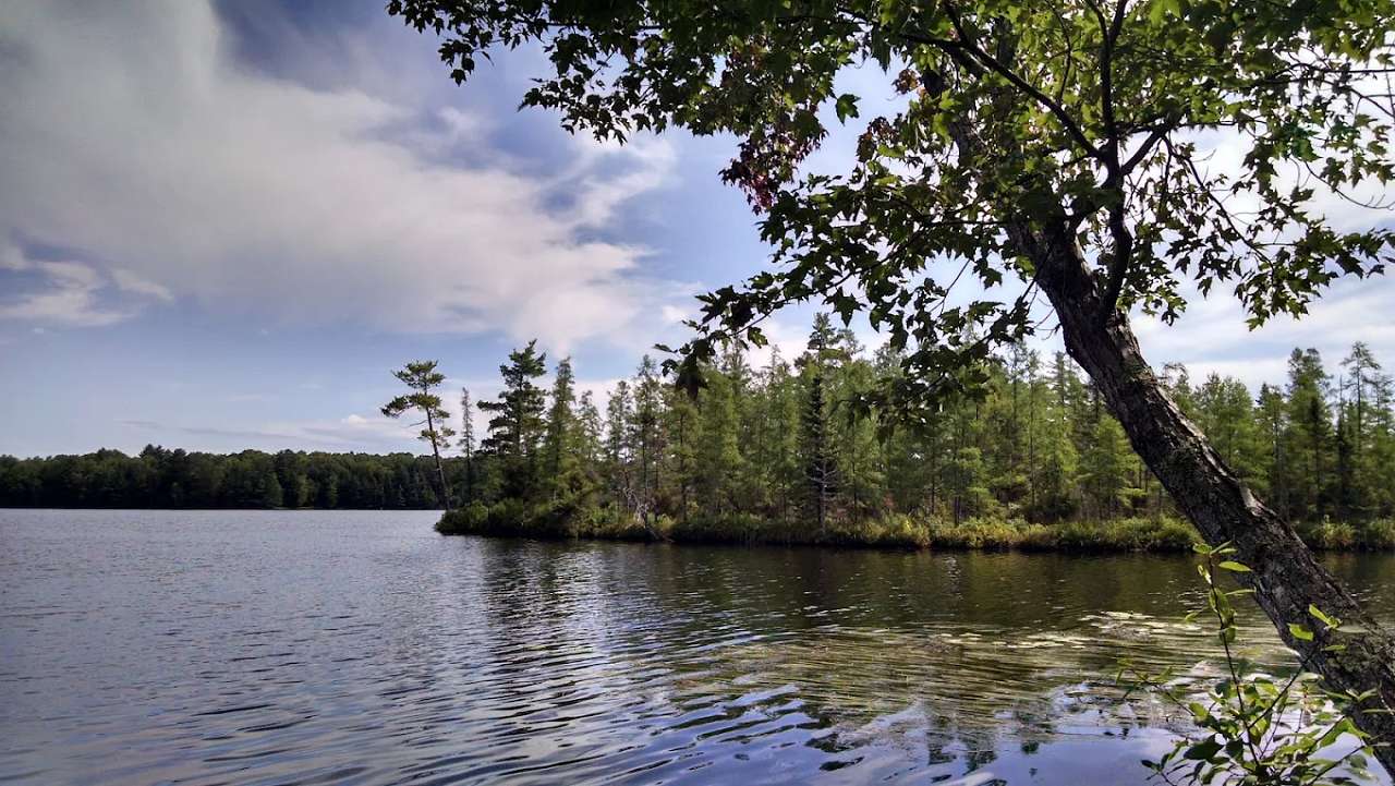 Jack Lake Campground Langlade County Park