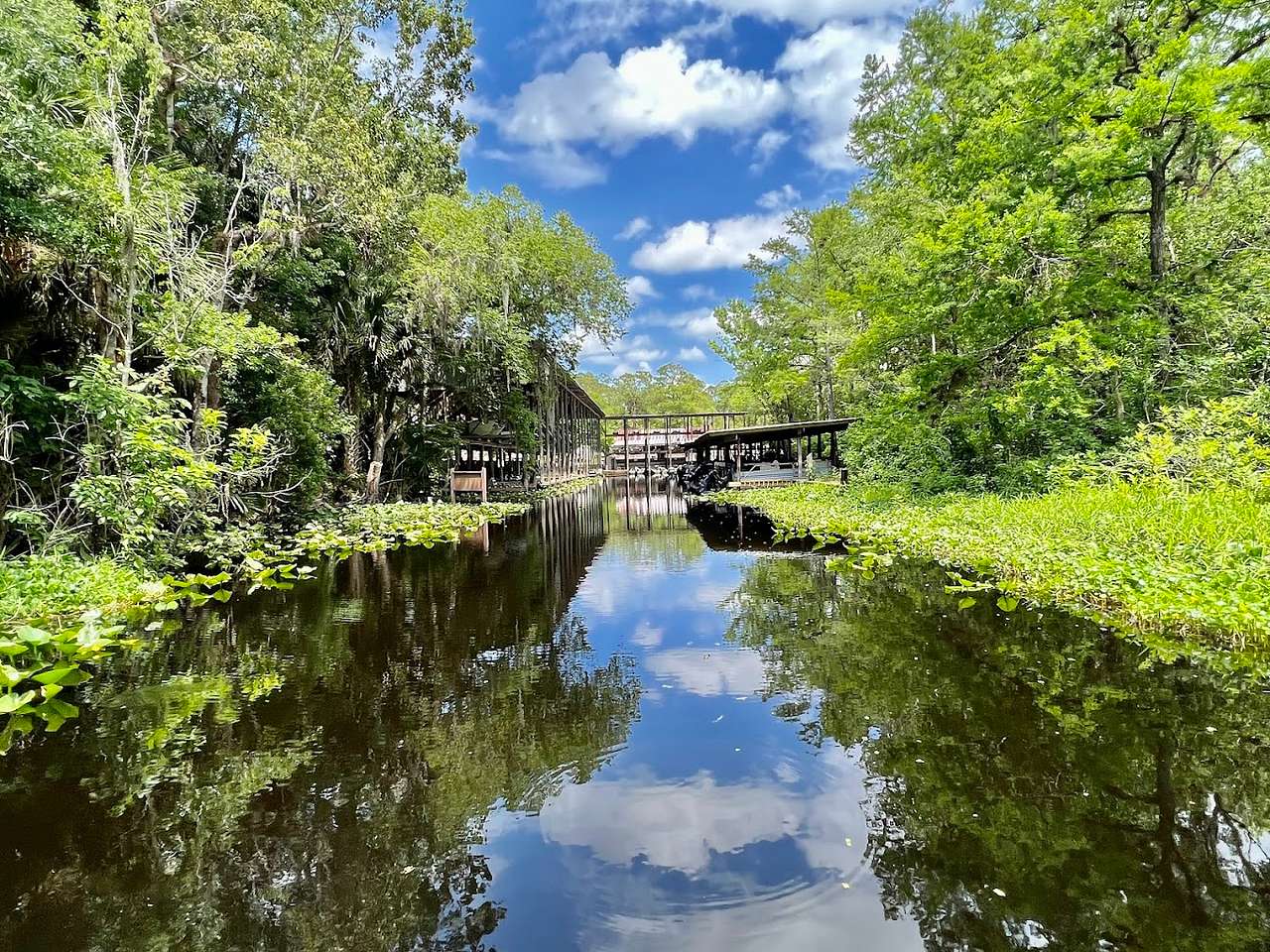 Highland Park Fish Camp