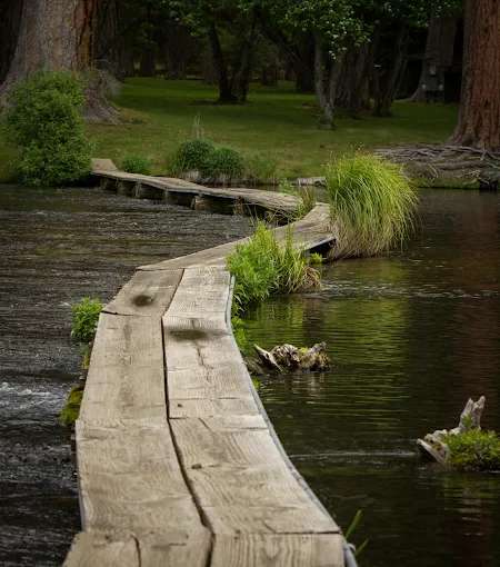 Cold Springs Resort and RV Park