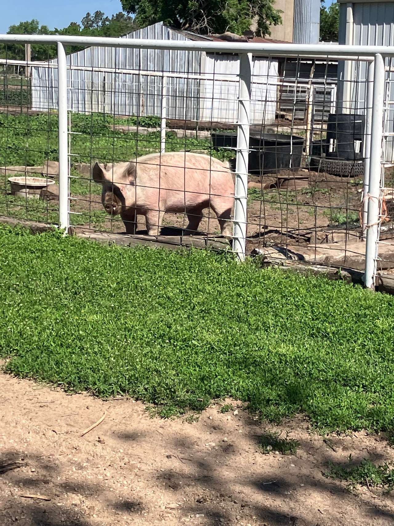 The Farm at Yoder