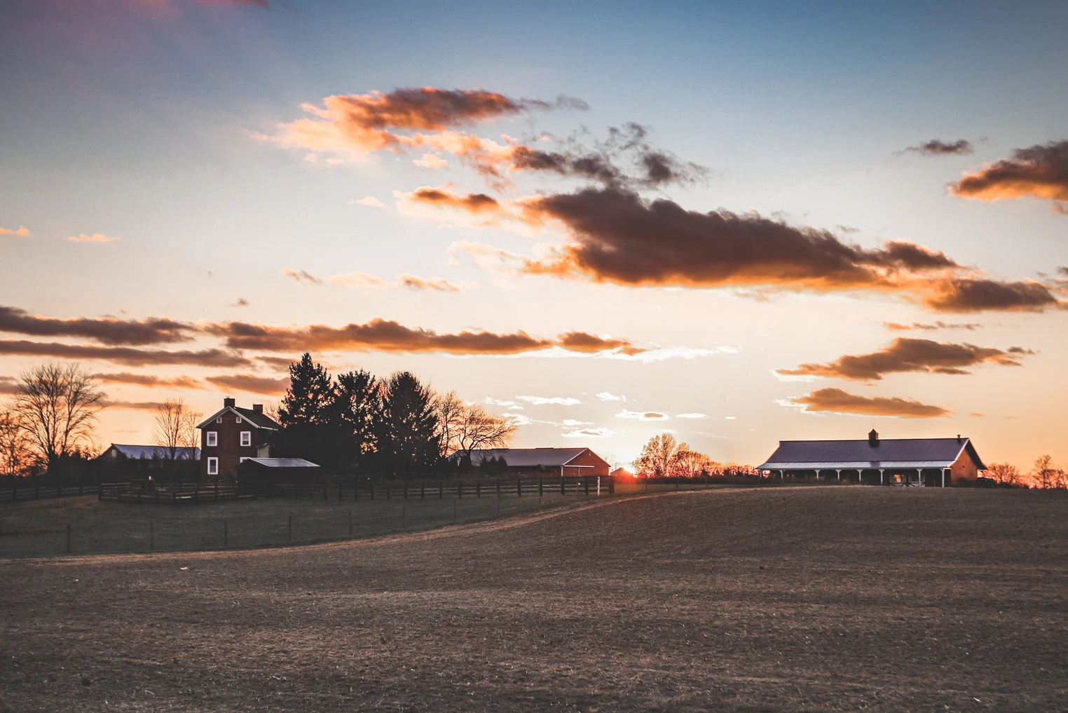 Bellawood Farm