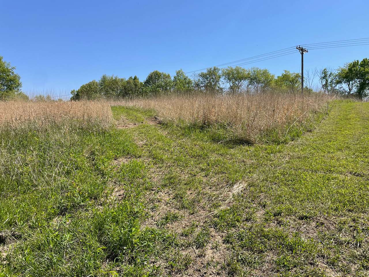 Bell Acres