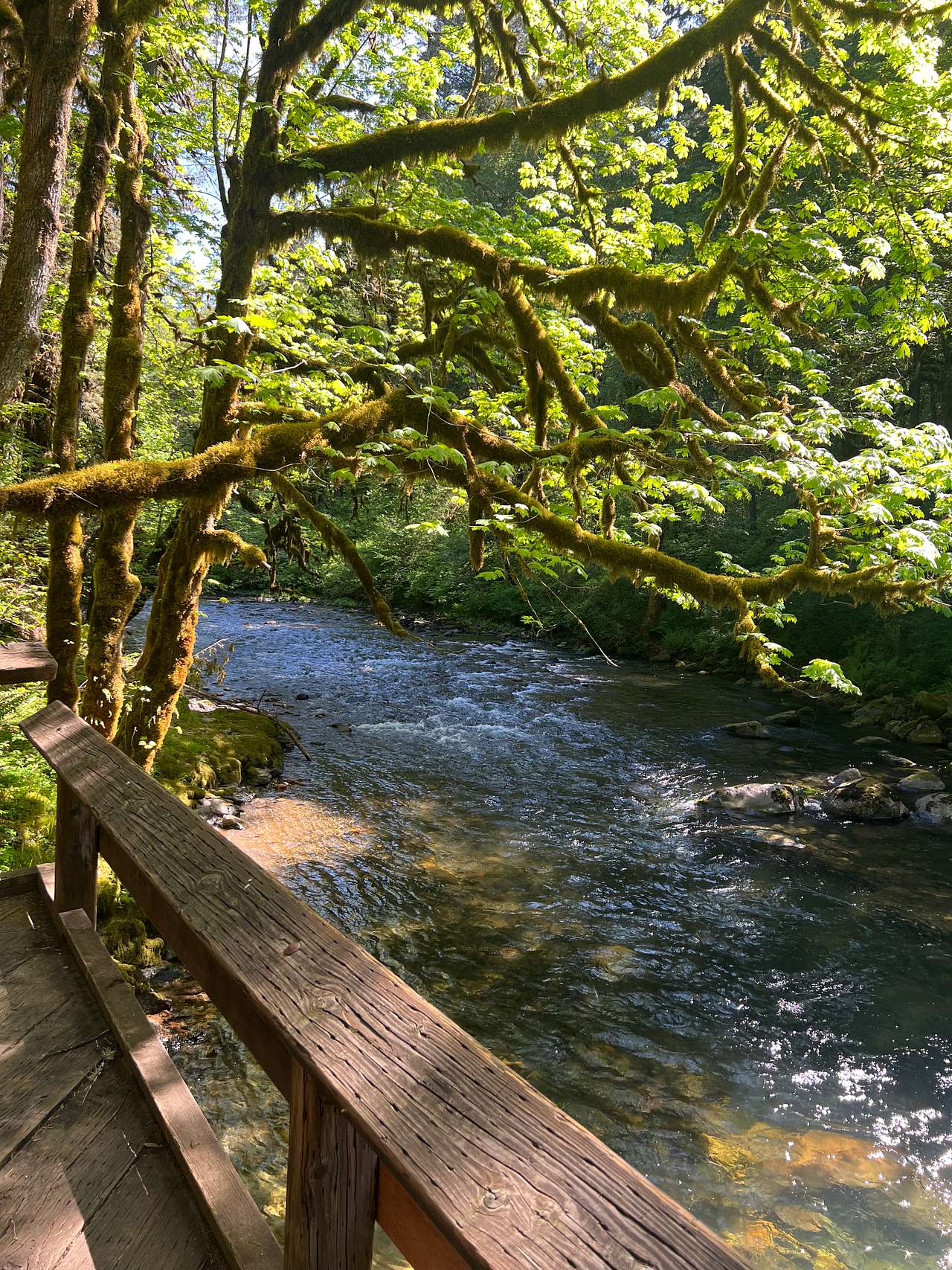 Yukwah Campground