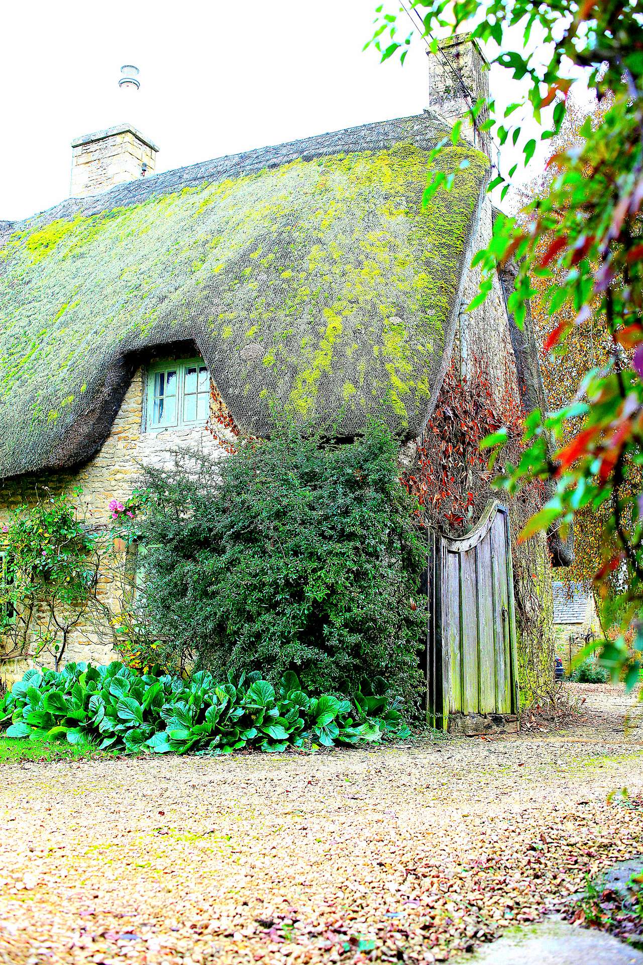 Willow Farm