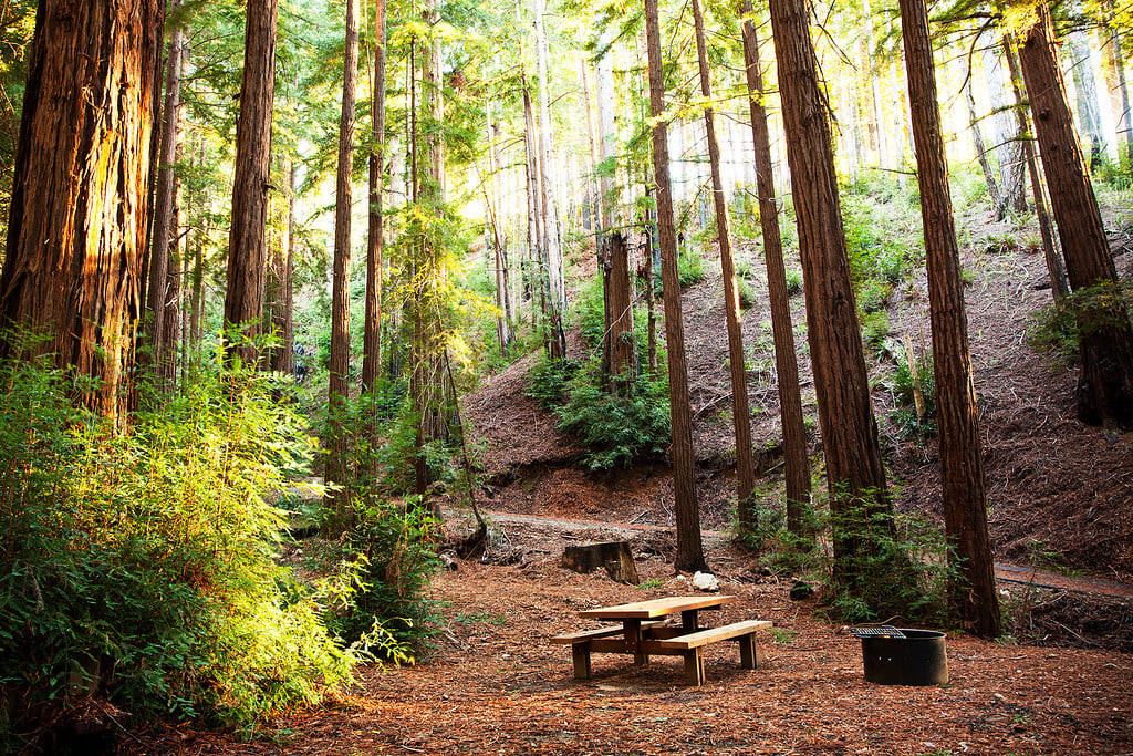 Ventana Campground