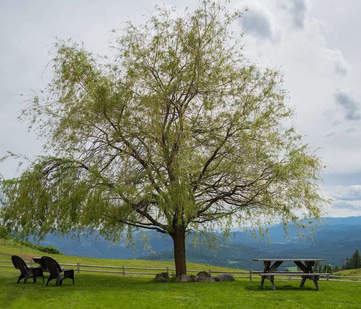 Bull Hill Guest Ranch