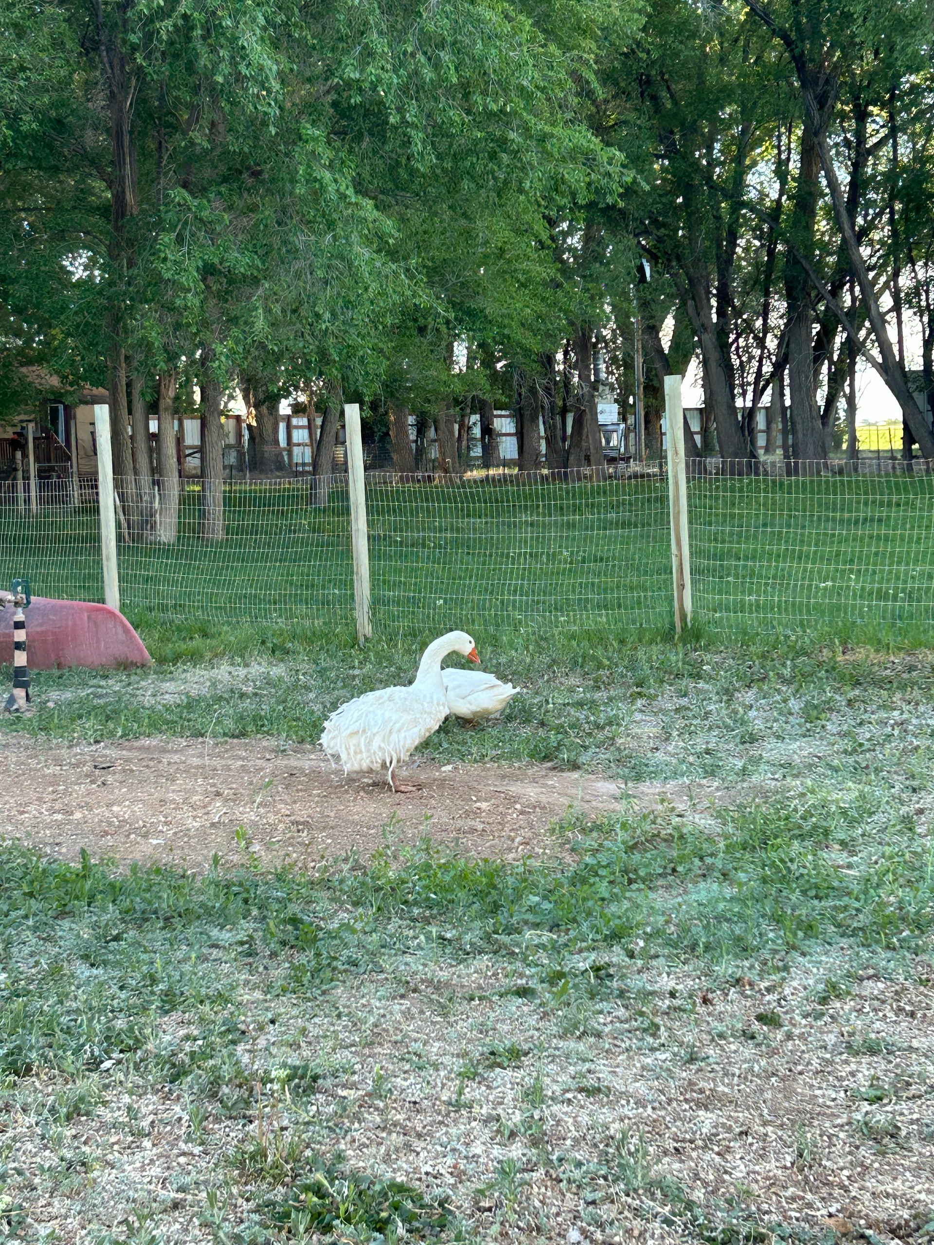 Delta Hobby Farm