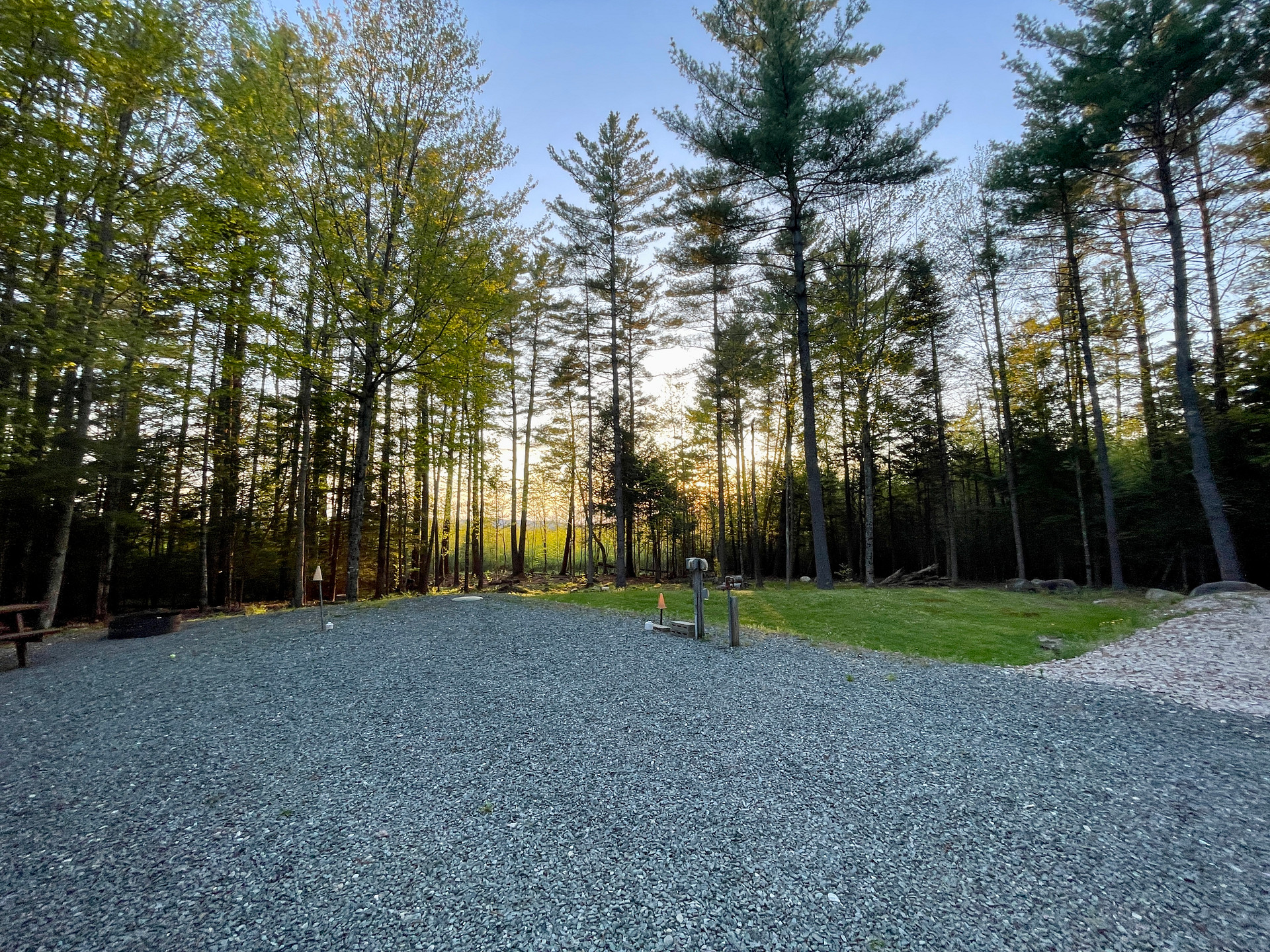 Hidden Pines