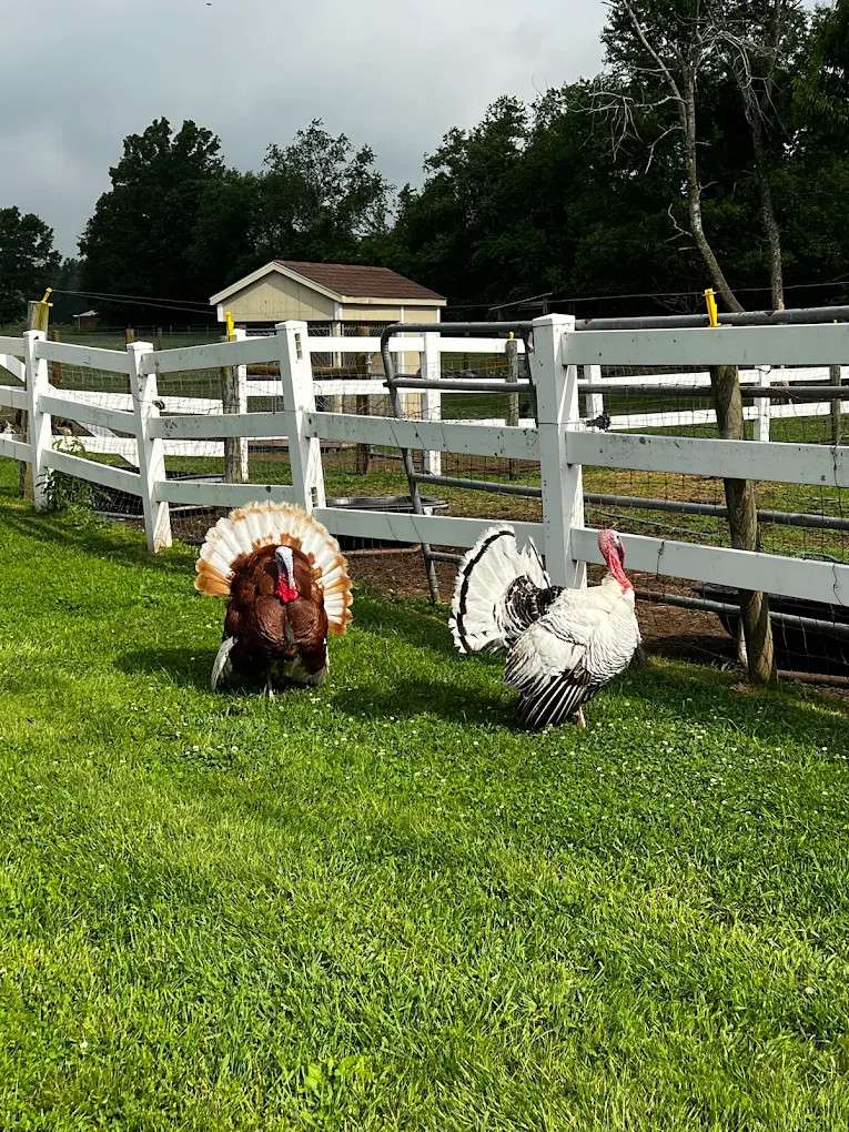 Clover Hill Farm