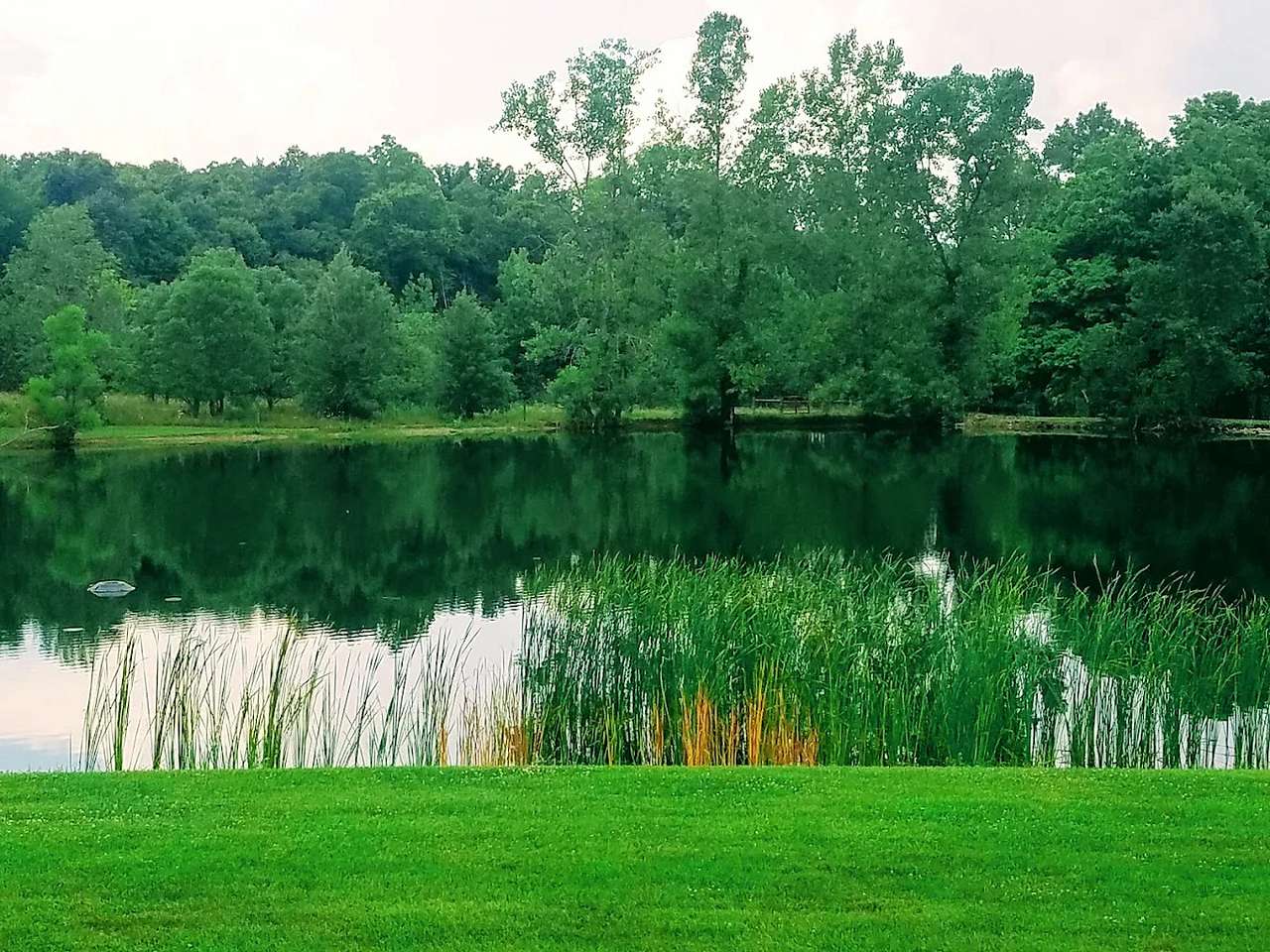 Back 40 Campground
