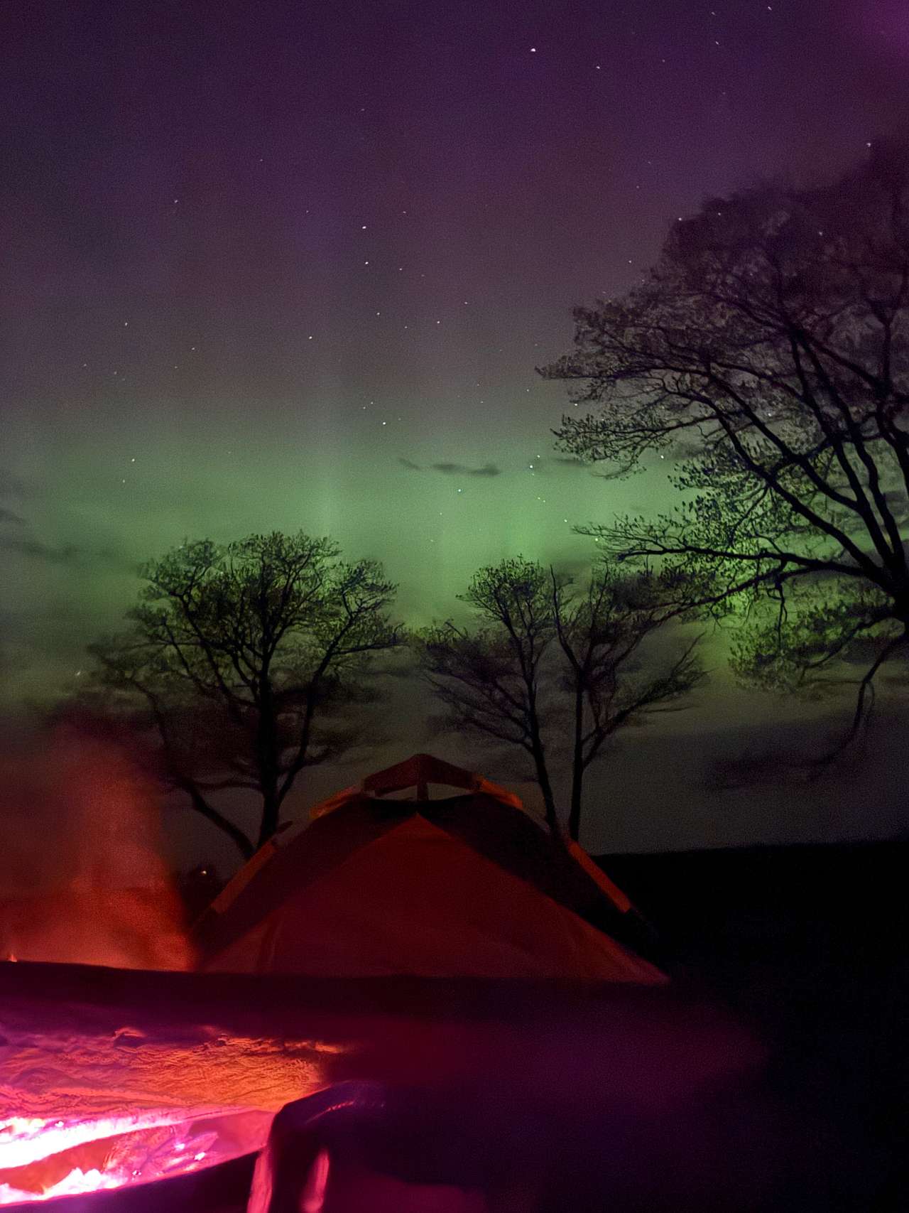 McLain Campground