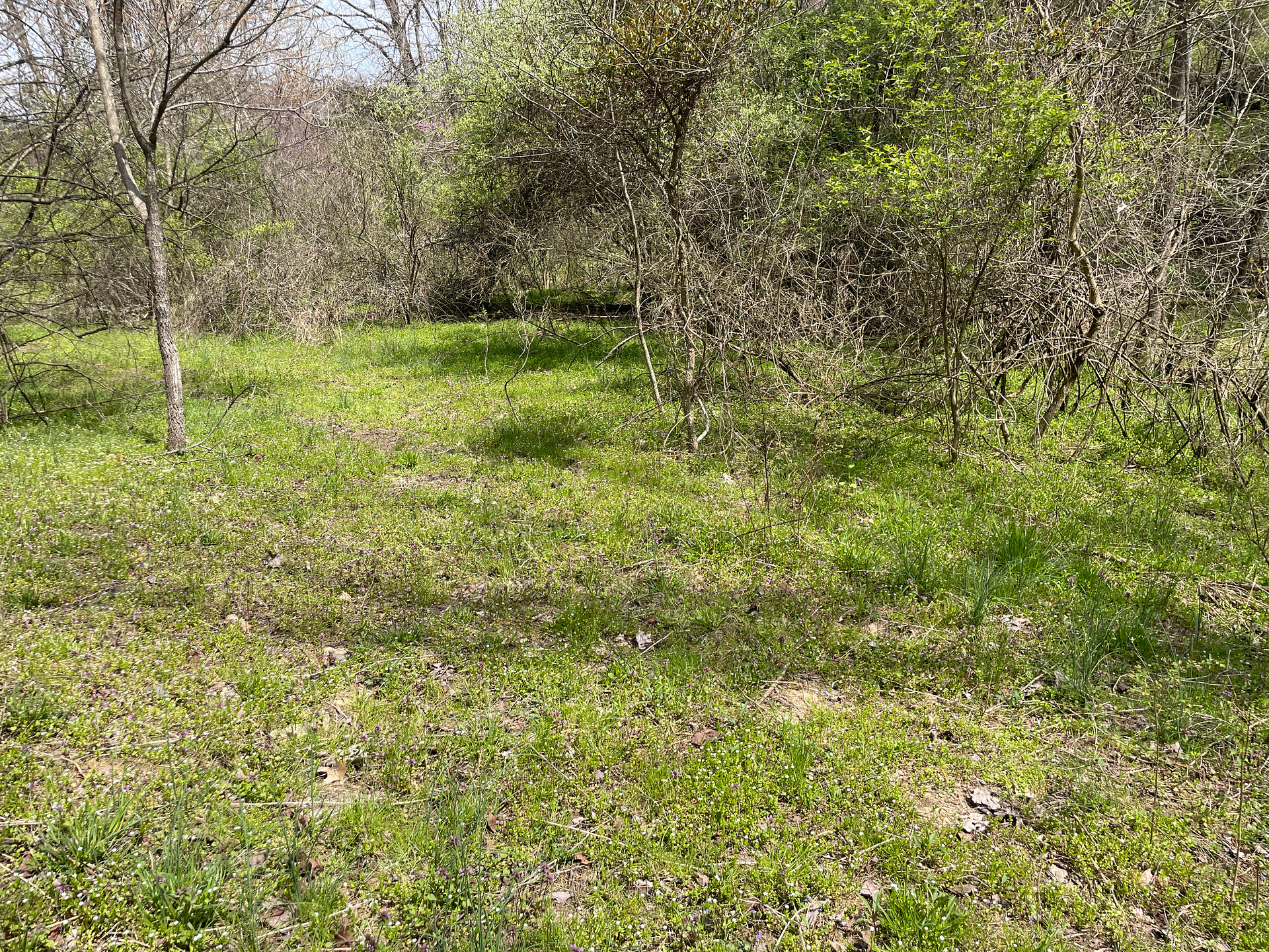 Fiskburg Holler