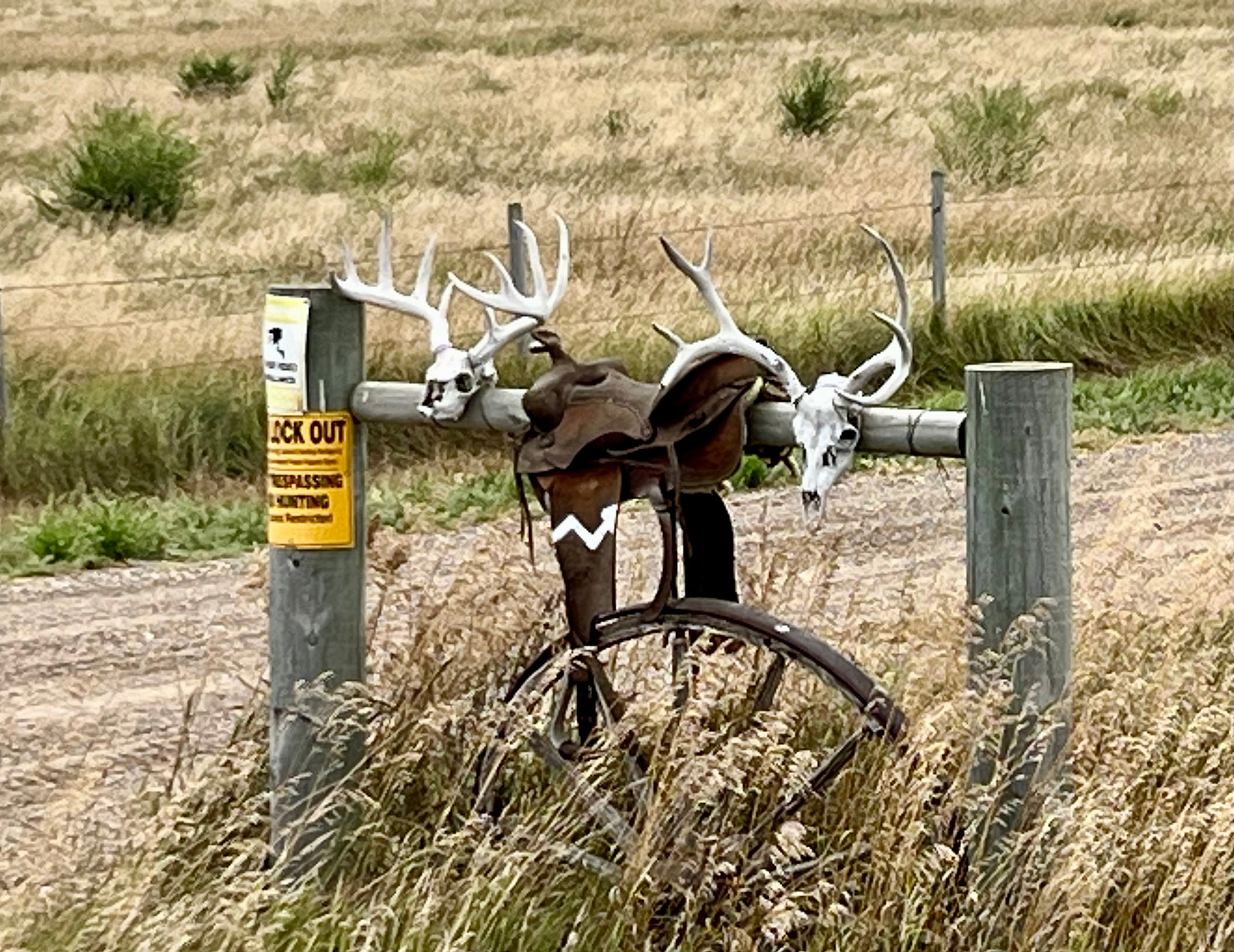 Lightning Arrow Ranch