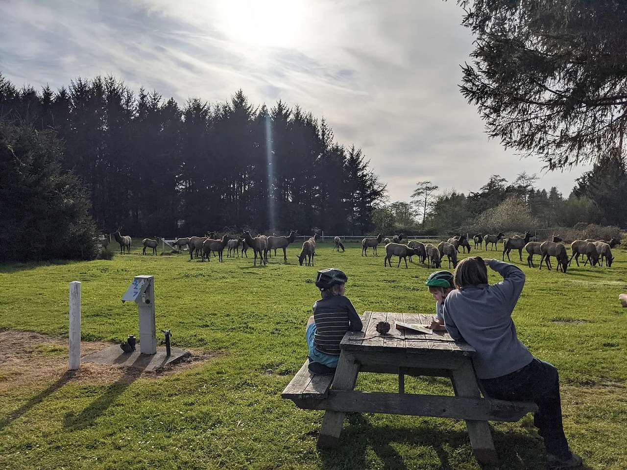 Elk Country RV Resort & Campground