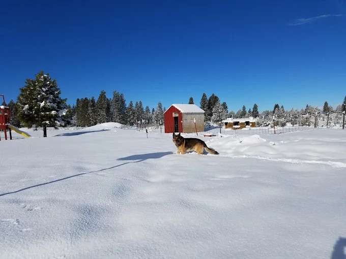Eagles Nest RV Park