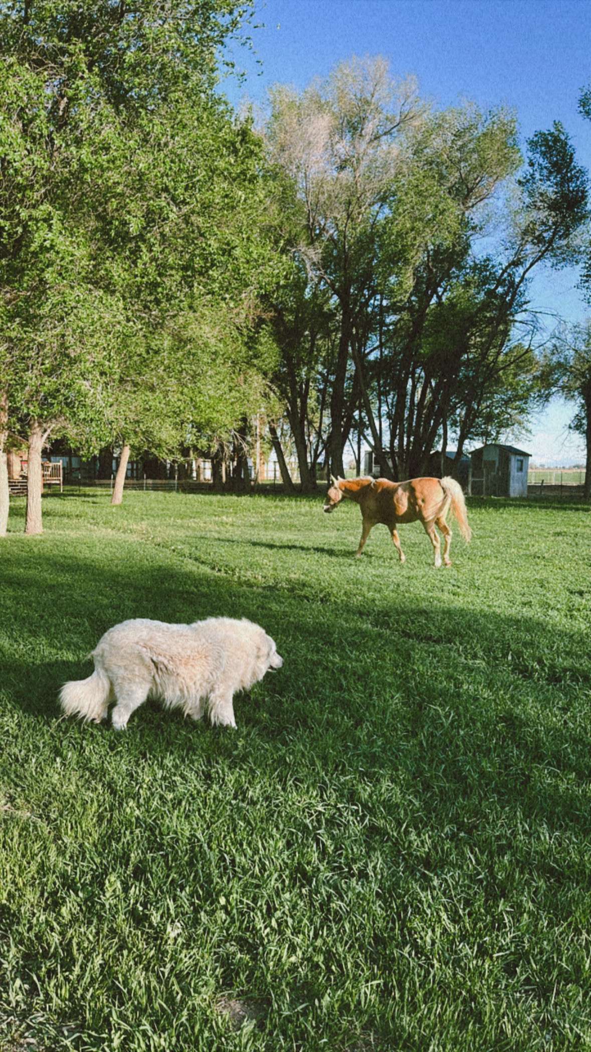 Delta Hobby Farm