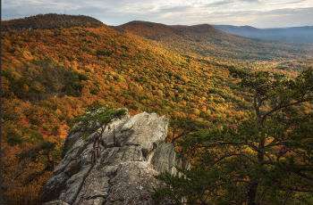 Cover photo for Upper Improved Campground