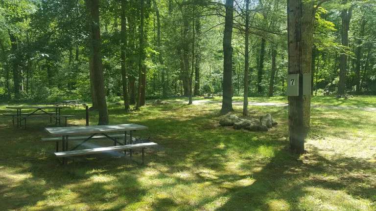 Dyer Woods Nudist Campgrounds