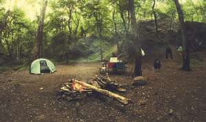 Cover photo for Green Ridge State Forest Campground