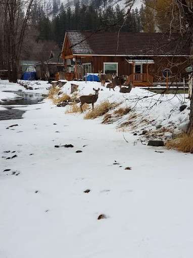 Kozy Kabins And RV Park