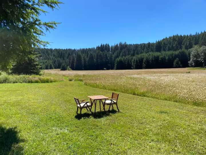Glamping In The Wild