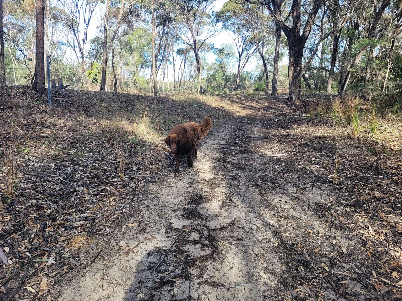 Toolibut Bush Camp